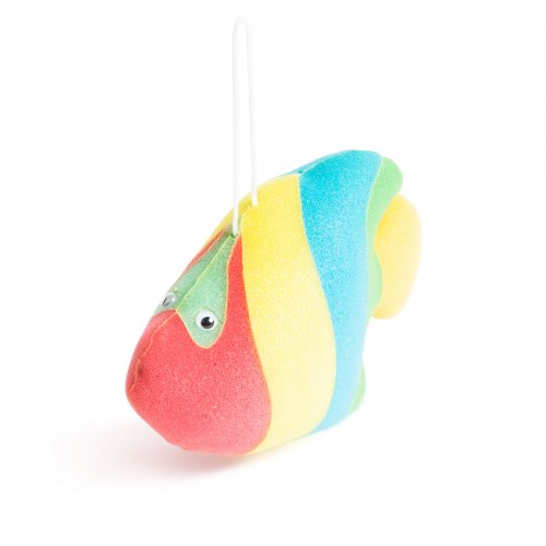 Houba - 20 cm - ryba