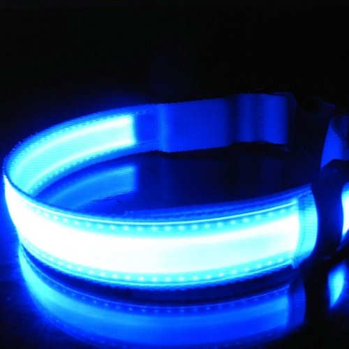 LED obojek Modrý S
