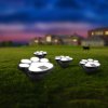 LED solární lampa – psí tlapka, zapichovací – plast – černá
