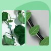 Samolepící spona na upevnění popínavých rostlin ve tvaru listu