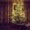 Světelný řetěz – 50 ks LED – teplá bílá – síťový – 5 m – 8 programů