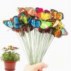 Zahradní motýl (50ks)