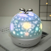 Noční lampa, projektorová lampa