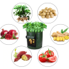 Kapsa pro pěstování zeleniny a ovoce