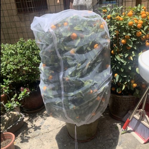 Ochranná síťka na zahradní rostliny proti hmyzu - 100 x 150 cm