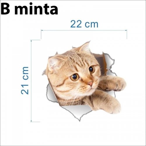3D Kočka Samolepka - Vzor B
