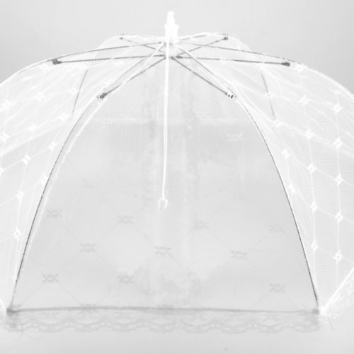 Síťka proti hmyzu / Skládací poklop na jídlo XL 60 cm