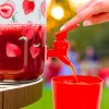 Dávkovač nápojů s kohoutkem, plastová sada sklenic – 3,8 l – jahody