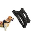 Silný postroj pro psa bez tlaku