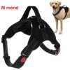 Silný postroj pro psa bez tlaku
