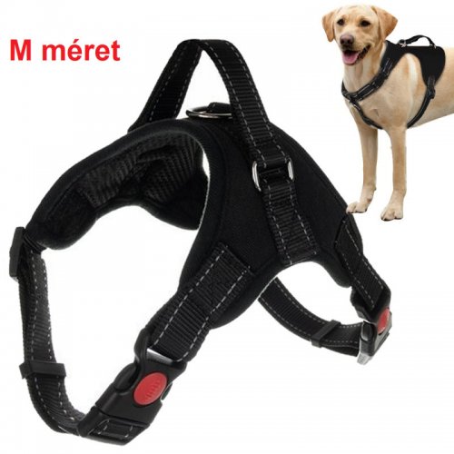 Silný postroj pro psa bez tlaku