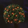 Solární LED světelný řetěz – beruška – 2,4 m – 25 LED – teplá bílá