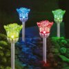 Solární lampa – zapichovací – růže – 1 RGB LED – 8 x 36,5 cm