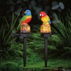 Zápichová solární dekorace – papoušek – 1 teplá bílá LED – 8 x 60 x 41 cm