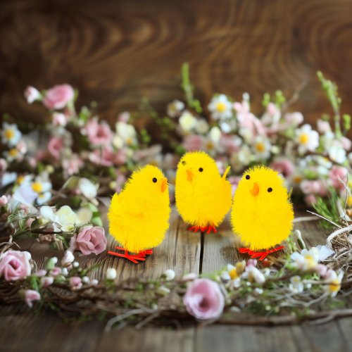 Velikonoční dekorace – sada kuřátek – žlutá – 6,7 x 5 cm – 3 ks / balení