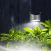 Solární lampa – na stěnu – 10 x 5 x 8 cm – 4 bílé SMD LED