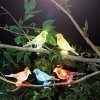Solární světelný řetěz – ptáček, se sponou – 80 cm – 5 barevných, RGB LED
