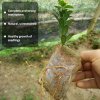 100 ks biologicky rozložitelných sáčků na pěstování sazenic