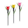 LED solární lampa tulipán - žlutý/červený/růžový - 31 cm - 24 ks / krabice