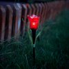 LED solární lampa tulipán - žlutý/červený/růžový - 31 cm - 24 ks / krabice