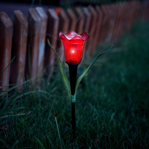 LED solární lampa tulipán - žlutý/červený/růžový - 31 cm - 24 ks / krabice