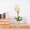 Umělá rostlina dekorace – orchidej – bílá – 48 cm
