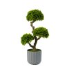 Umělá rostlina dekorace - bonsai - 55 x 27 cm