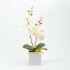 Umělá rostlina dekorace – orchidej – 3 druhy – 37 cm