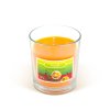 Vonná svíčka &amp;quot;vánoční koření&amp;quot; - 120 g