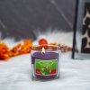 Vonná svíčka – „zimní bobule“ – 120 g