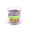 Vonná svíčka – „zimní bobule“ – 120 g
