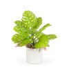 Dekorace z umělých rostlin – monstera – 22 x 8,5 cm