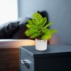 Dekorace z umělých rostlin – monstera – 22 x 8,5 cm