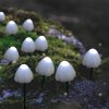 Zapichovací, solární LED houby 480 cm