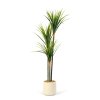 Umělá rostlina dekorace - Dracaena Marginata - zelená - 1,2 m