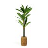 Umělá rostlina dekorace - Dracaena Fragrans - 1,1-1,2 m