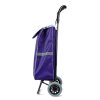 Výsuvná nákupní taška na kolečkách – 5 barev – 100 x 36 x 25 cm – polyester – max 30 kg