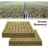 100 ks hydroponických pěstitelských kostek