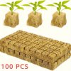 100 ks hydroponických pěstitelských kostek