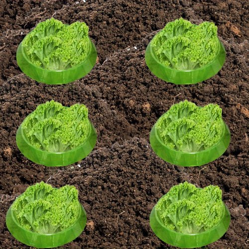 Zahradnické ochranné obojky proti slimákům