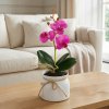 Umělá rostlinná dekorace – orchidej – 3 druhy – 32,5 cm