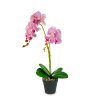 Umělá rostlinná dekorace – orchidej – 2 druhy – 54 cm