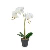 Umělá rostlinná dekorace – orchidej – 2 druhy – 54 cm