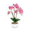 Umělá rostlinná dekorace - orchidej - 5 druhů - 56 cm