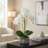 Umělá rostlinná dekorace – orchidej – 2 druhy – 53 cm