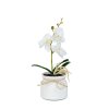 Umělá rostlinná dekorace – orchidej – 3 druhy – 32,5 cm
