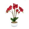Umělá rostlinná dekorace - orchidej - 5 druhů - 56 cm