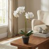 Umělá rostlinná dekorace – orchidej – 2 druhy – 54 cm