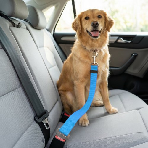 Autopopruh k bezpečnostnímu pásu – 45–70 cm, 3 barvy