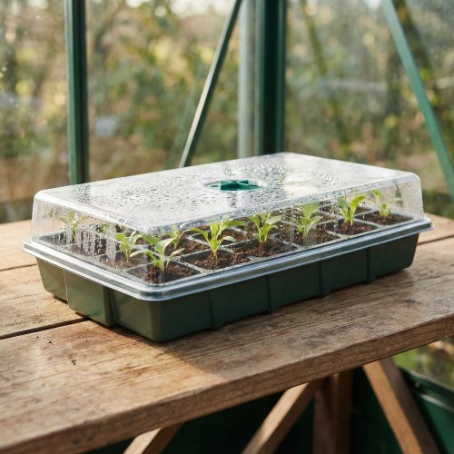 Sada na pěstování sazenic s víkem – 37 x 23 x 9 cm
